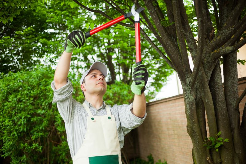 Invasive Plant Removal Services