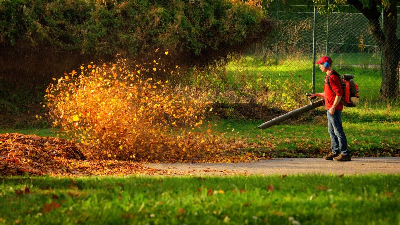 Leaf Blowing Benefits