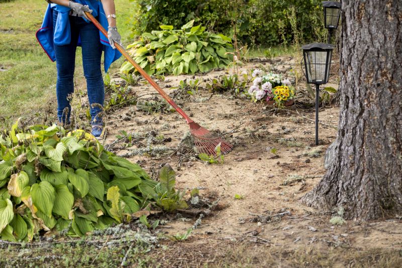 Native Vegetation Recovery