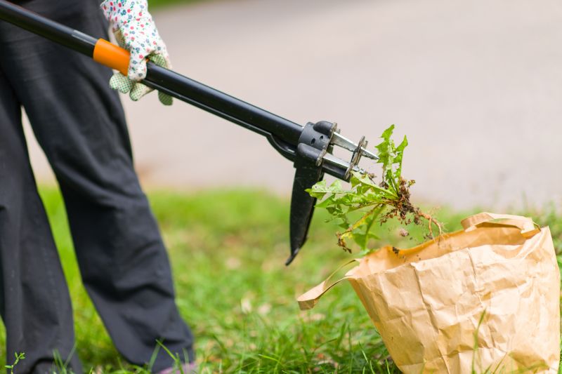 Invasive Plant Removal Services — cost of