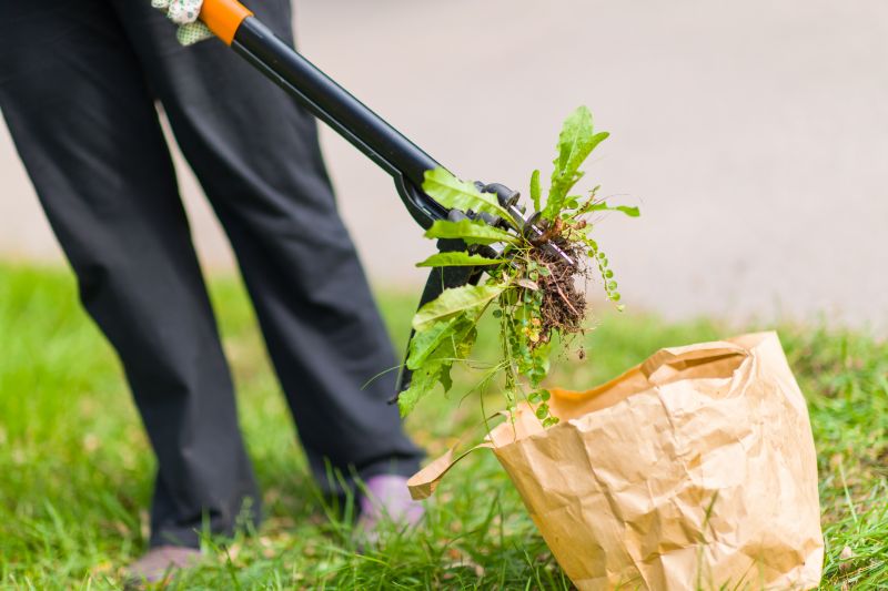 Invasive Plant Removal Services — cost of