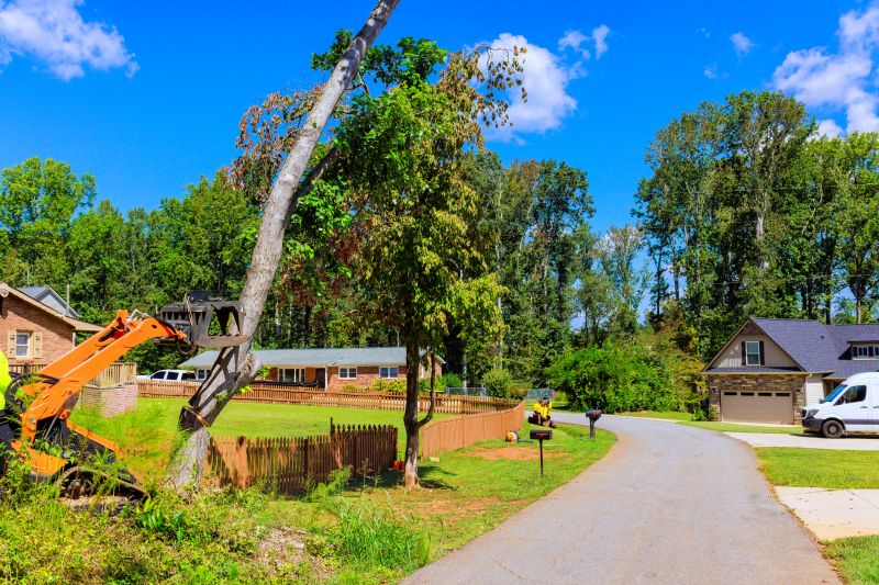 Invasive Plant Removal Services