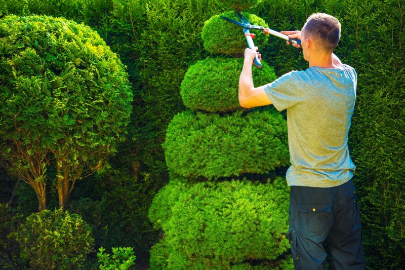 Shrub Shaping Techniques