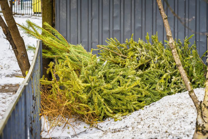 Fall Control Efforts